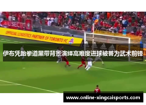 伊布凭跆拳道黑带背景演绎高难度进球被誉为武术前锋